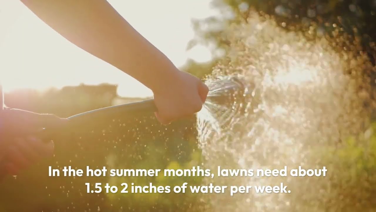 How Long Should Each Sprinkler Zone Run? YouTube