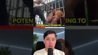 MONKEY ATTACK VIDEO EXPLAINED! #Shorts Wealth