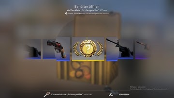 I Got Gloves Cs Go SnakeBite Case Opening