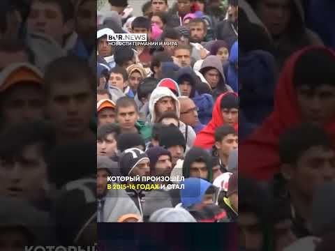 AfD стала самой популярной партией в Саксонии Новости Германии / Миша Бур