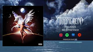 Trippie Redd   So Stressed ft  Yung LB PRHD Promotion