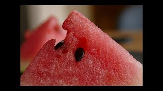Bu videoyu İzledikten Sonra Karpuz Çekirdeğini ASLA Çöpe Atmak İstemeyeceksiniz.