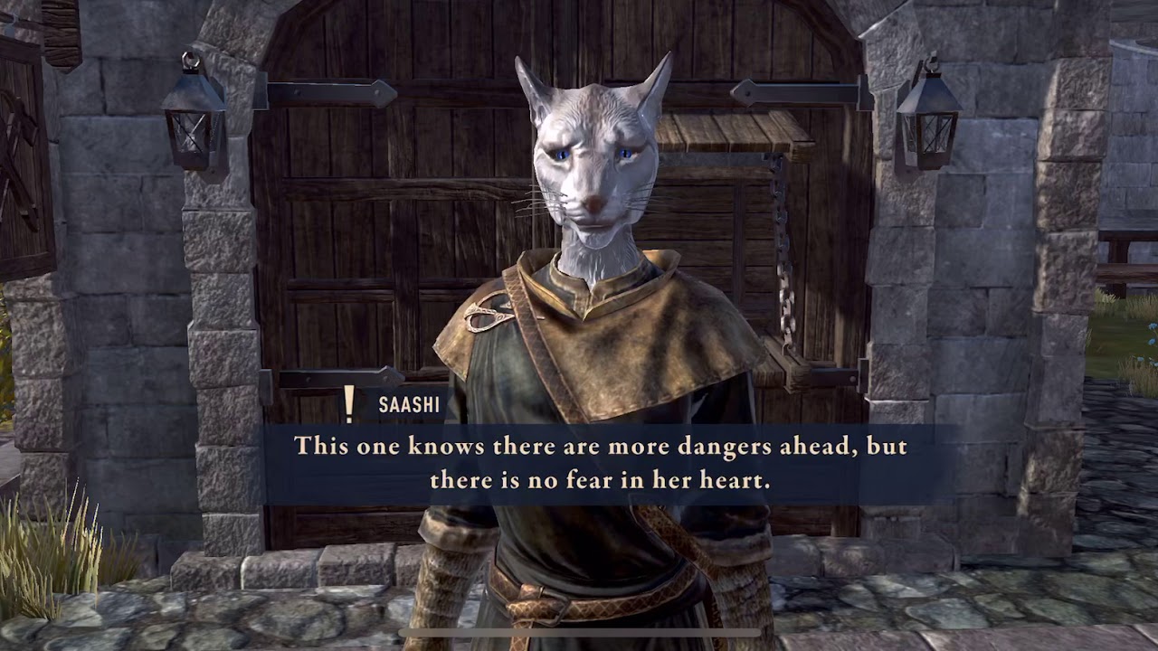 Elder Scrolls Blades - Bug Needs Fix