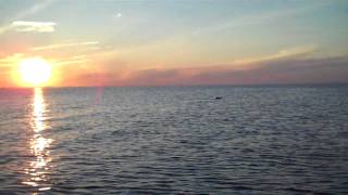 Sunset Cruise At Lanes Cove