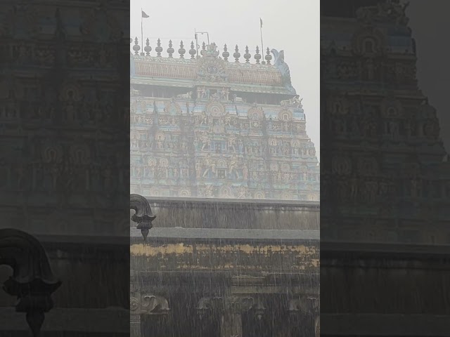 #rain 2.12.2023 #Sri #Natarajar #Temple #Devasabha #Reels #Shorts class=