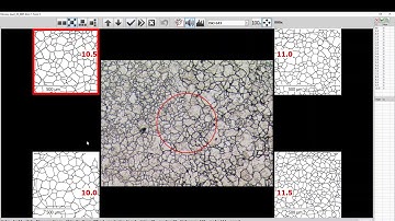 NIS-Elements: Comparative method in Grain Size Module