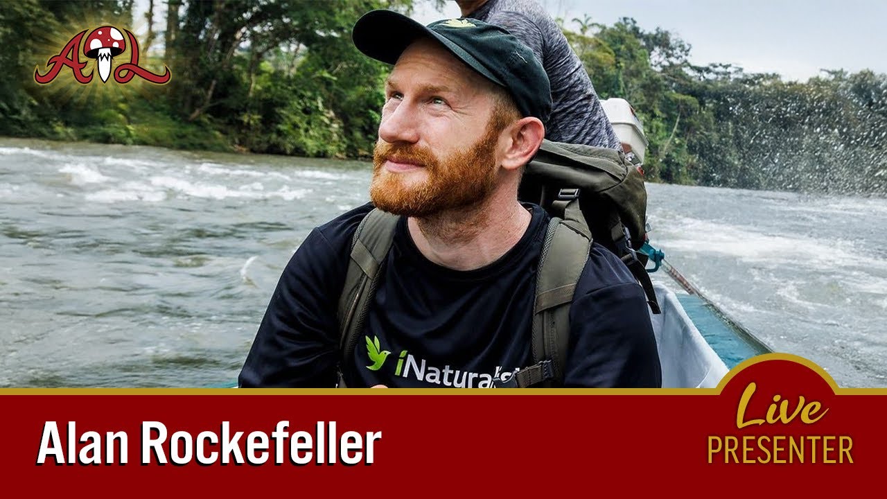 NEW Discoveries in the Taxonomy of Psilocybin Mushrooms & Tryptamine Fungi