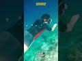 THE MOST HORRIFYING PLACES IN THE OCEAN 11,034 m BELOW SEA LEVEL - Part 3