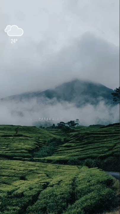 GUNUNG DEMPO PAGARALAM #SHORTS