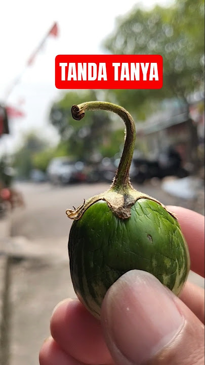 yang masih belum terwujud dari mimpi jelata, karena salah memilih wakilnya #trending #youtubeshorts