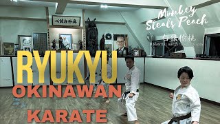 Ryukyu - Journey to the Origins of Okinawan Karate - Intro teaser