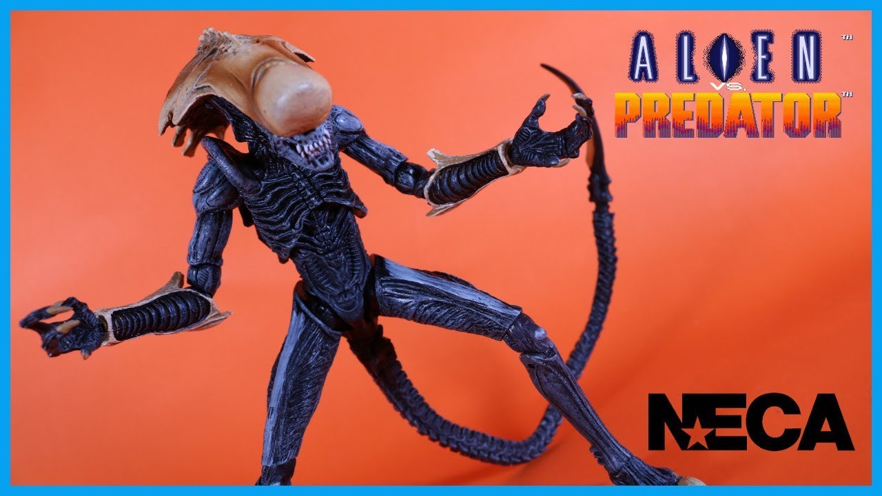 NECA Toys Alien Vs. Predator ARCADE CHRYSALIS ALIEN (XENOMORPH) Action Figure Toy Review