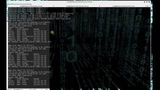Nmap Tutorial in Kali Linux