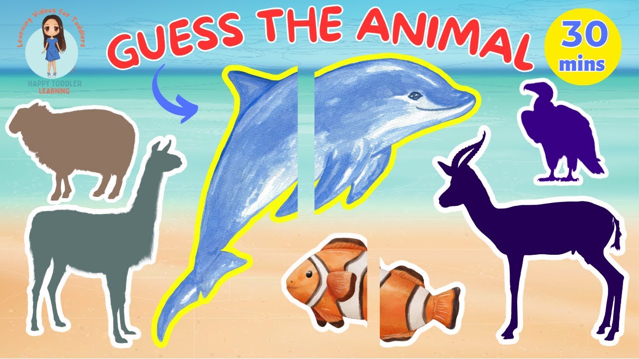 ANIMAL NAMES AND SOUNDS First Words For Babies Speech Practice For animal-names-and-sounds-first-words-for-babies-speech-practice-for