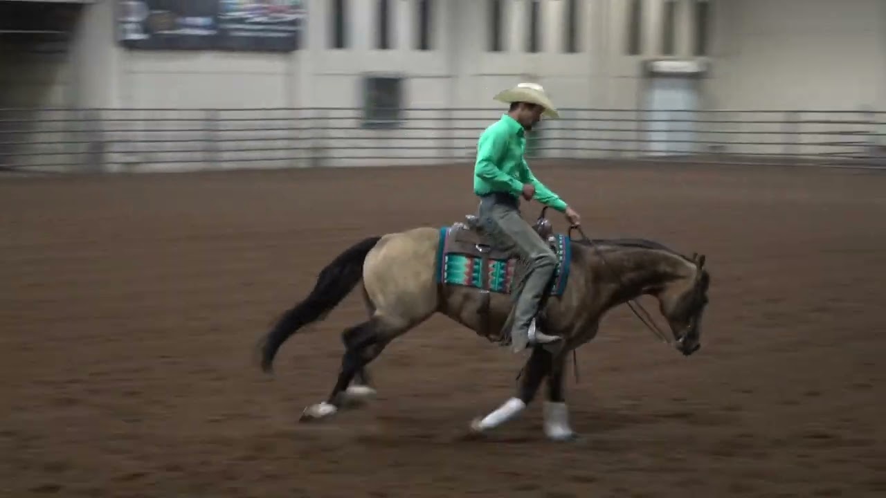 David Worley riding Spook N Disguise - IRHA Novice Horse Derby Score 71.5 August 2024