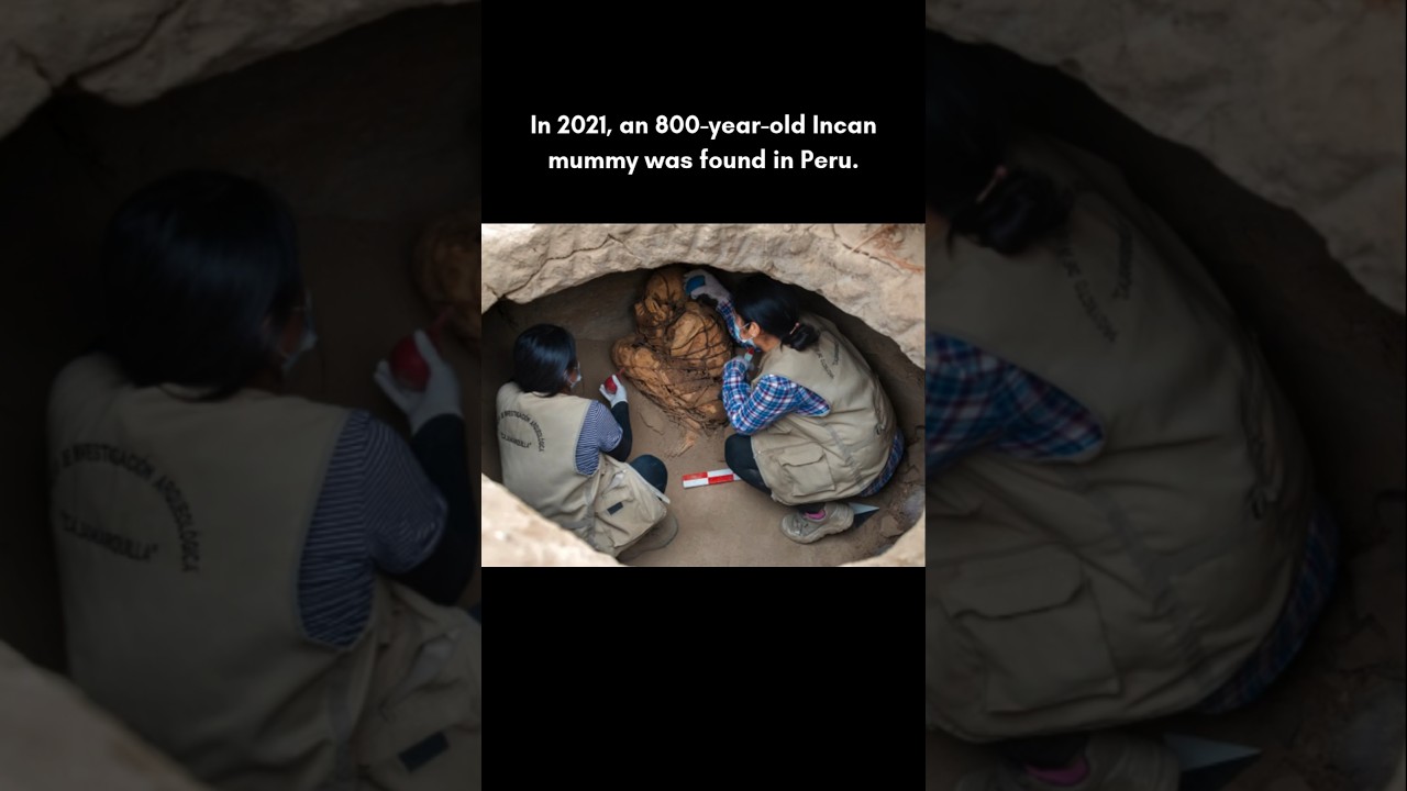 800 year old Incan Mummy found tied and preserved!! 