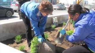 Earth Day 2013 - vivaNext celebrates