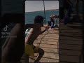 بلبط بلبط