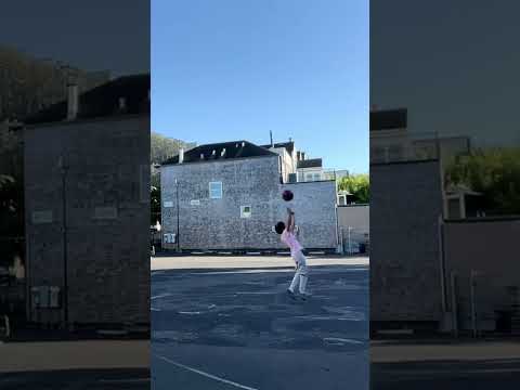 Watch it get 5 likes 😢 #shorts #sorentrickshots #dudeperfect #challenge