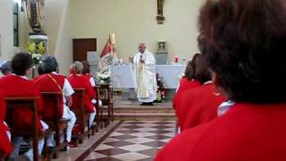 Imagen 019.avi