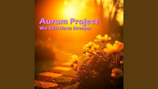 Mi Amore - Aurum Project