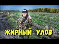 СЧАСТЬЕ найти ЭТО. Забытая деревня всегда с находками. Раскопки с металлоискателем.