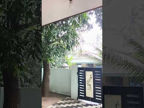 #shorts #rainyday #home #rain #nature #subscribe