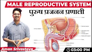 Male Reproductive System (नर प्रजनन प्रणाली) |  All Govt Exams | Biology Special Class by Aman Sir screenshot 5