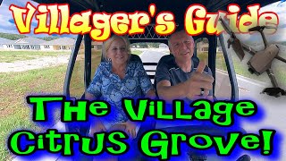 The Villager's Guide to the new Village of Citrus Grove