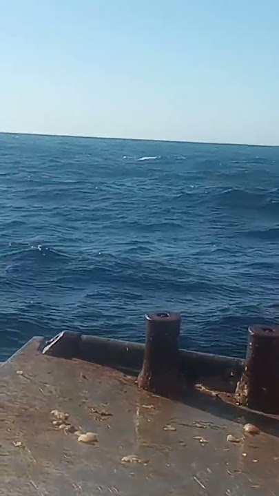 we were once a young an innocent generation, now we are the working force of the world.