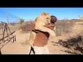 10 Reencuentros Entre Animales & Humanos Más Conmovedores