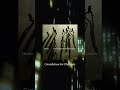 "Stupid Schemes", taken from Doves' new album "Constellations For The Lonely".
