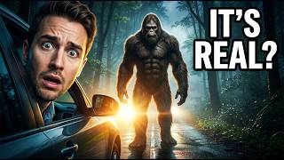 Bigfoot in Connecticut This Shocking Sighting Has Everyone Talking!
