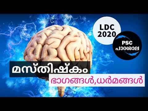 LDC 2020 | മസ്തിഷ്‌കം - ഘടനയും ധർമങ്ങളും | General Science | PSC Padashala