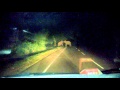 The Elephant's love on the Habarana road