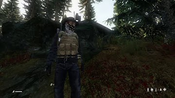 Behind Enemy Lines Dayz Preperation