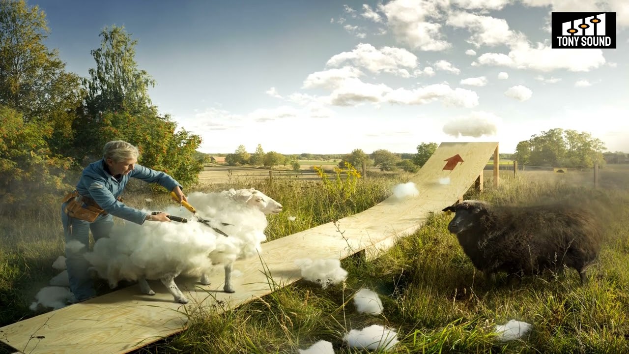 TONY SOUND | Shadoma - Mini Vandals