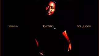 Champion Ray Feat Bhodwe and Cheelex - Pikinini