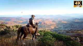 New Realistic ReShade Graphics Mod for Red Dead Redemption 2 [RTX4090]
