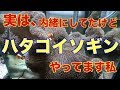 【海水魚水槽】ハタゴイソギンチャク水槽、実はやってました!