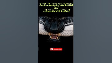 The #blackpanther #vs #albino #python #snake #whitesnake #ai #aiart #shorts #yt #fy #fyp #fypviral