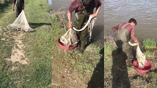 Dere Balik Kayniyor Serpme İle Balık Avı Van