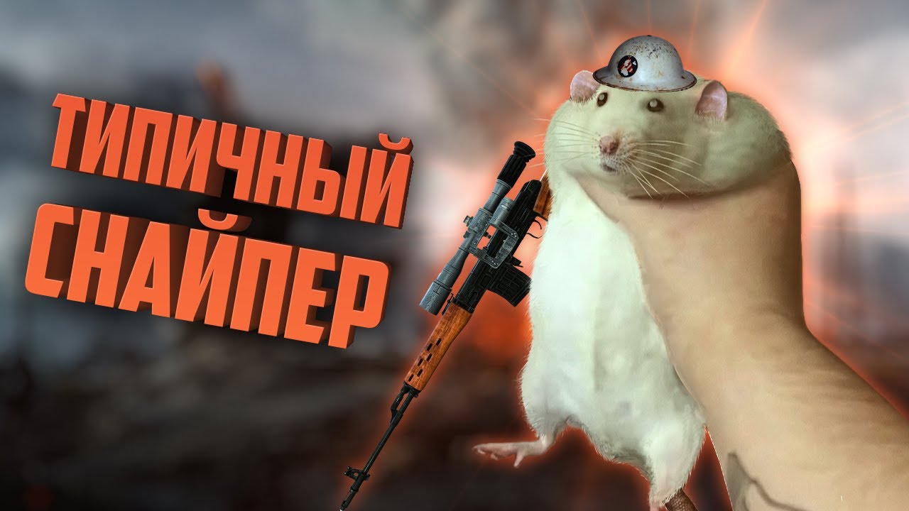 Типичный снайпер | Battlefield 1/Apex Legends/Call of Duty Warzone
