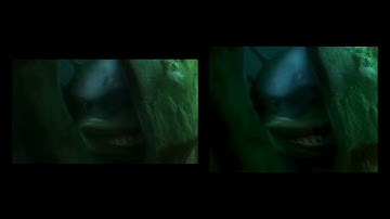 Finding Nemo Bruce Goes Mental Widescreen Vs Fullscreen