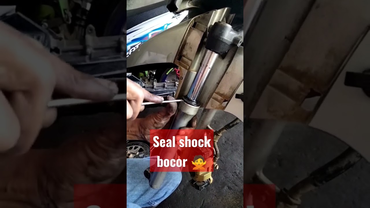Seal shock bocor 