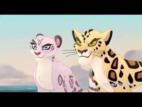 The Wild Life