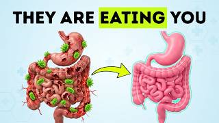 Undo Years Of Damage To Your Gut