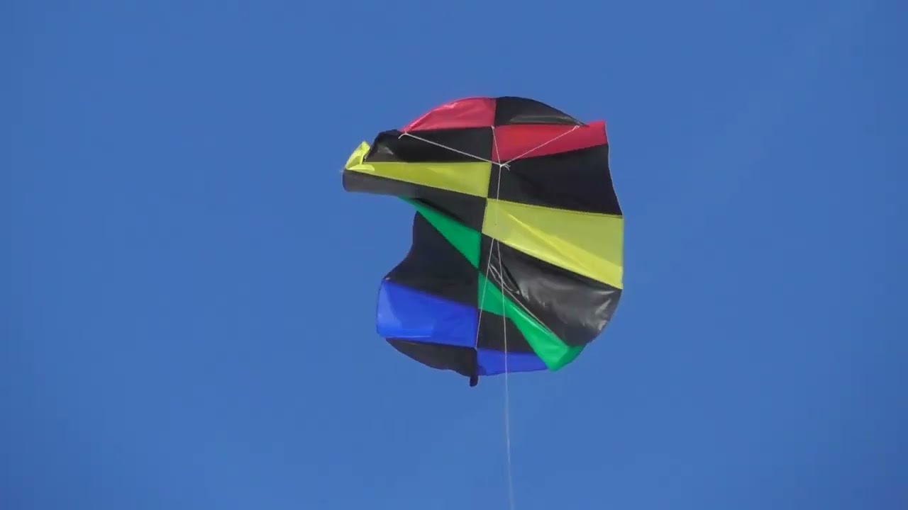 20250112藤崎町凧揚げ交流会