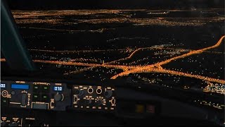 FSX 2016 | Core i7 @ 3.4 GHz | 737 EXTREME NIGHT ENVIRONMENT screenshot 2