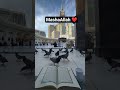 MashaAllah SubhanAllah #makkahlive